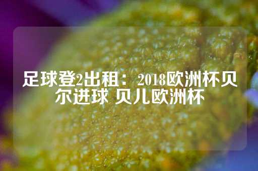 足球登2出租：2018欧洲杯贝尔进球 贝儿欧洲杯