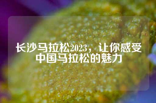 长沙马拉松2023，让你感受中国马拉松的魅力-第1张图片-皇冠信用盘出租