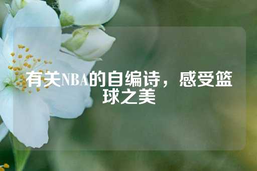 有关NBA的自编诗，感受篮球之美