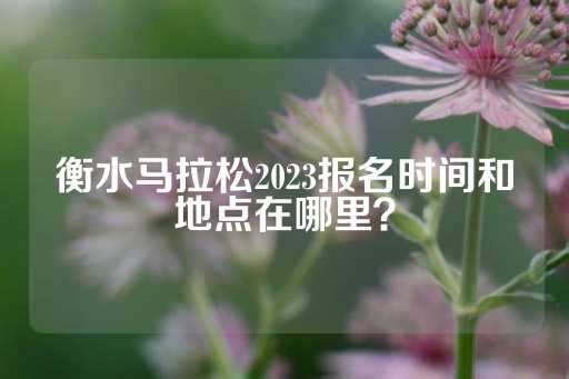 衡水马拉松2023报名时间和地点在哪里？-第1张图片-皇冠信用盘出租