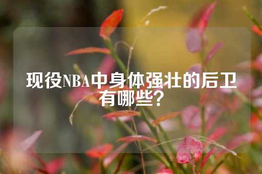 现役NBA中身体强壮的后卫有哪些？-第1张图片-皇冠信用盘出租