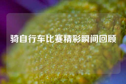 骑自行车比赛精彩瞬间回顾-第1张图片-皇冠信用盘出租