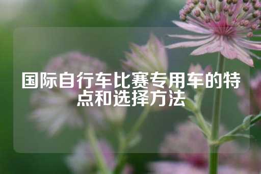 国际自行车比赛专用车的特点和选择方法