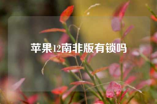 苹果12南非版有锁吗