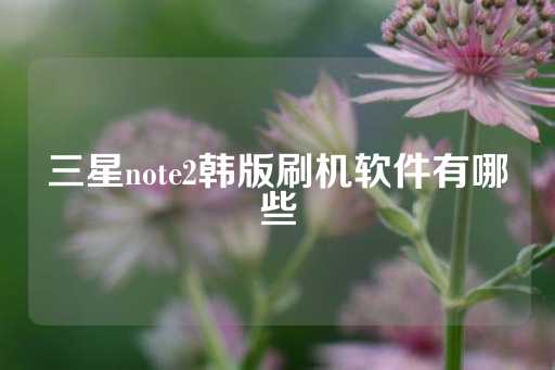 三星note2韩版刷机软件有哪些-第1张图片-皇冠信用盘出租