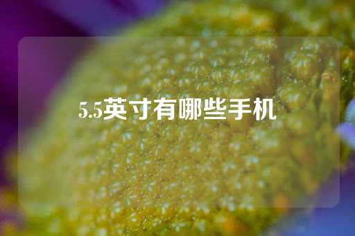 5.5英寸有哪些手机-第1张图片-皇冠信用盘出租