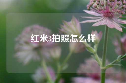 红米3拍照怎么样