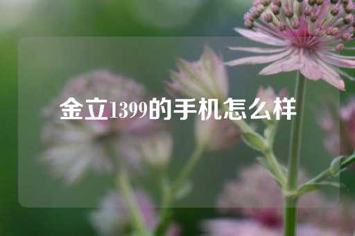 金立1399的手机怎么样-第1张图片-皇冠信用盘出租