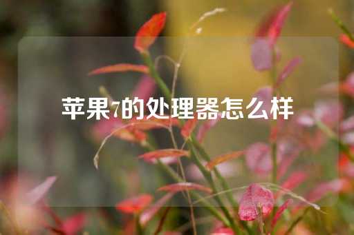 苹果7的处理器怎么样