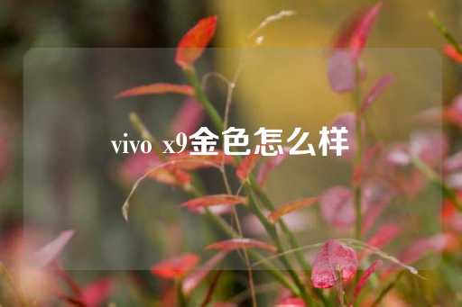 vivo x9金色怎么样