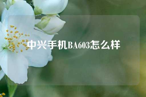 中兴手机BA603怎么样-第1张图片-皇冠信用盘出租