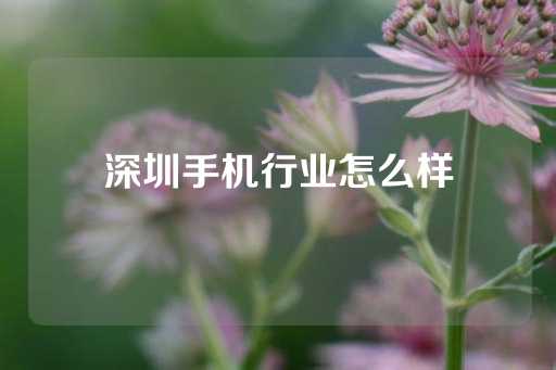 深圳手机行业怎么样