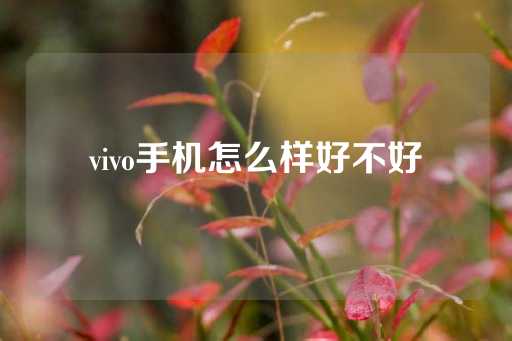 vivo手机怎么样好不好