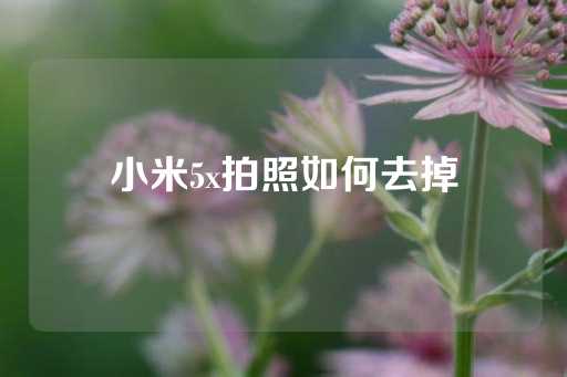 小米5x拍照如何去掉